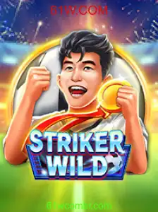Desvendando o Jogo StrikerWILD: Regras e Inovações